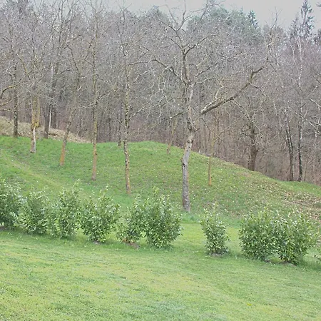 Apartment Casa Le Siepi